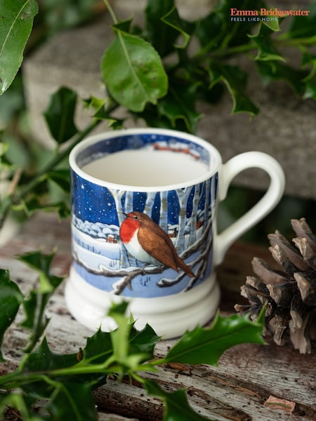 Emma Bridgewater Cream Midnight Robin 1/2 Pint Mug (V19719) | €33