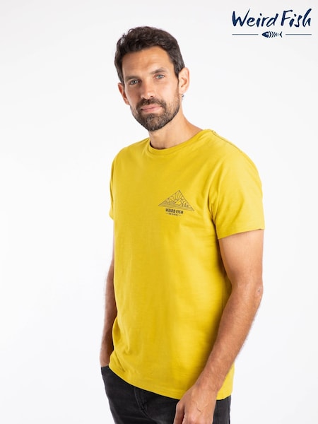 Weird Fish Green Pyramid View Back Print Graphic T-Shirt (V23468) | €40