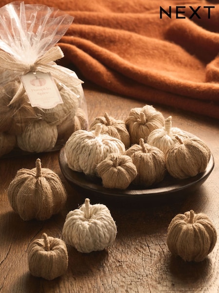 Pot Pourri