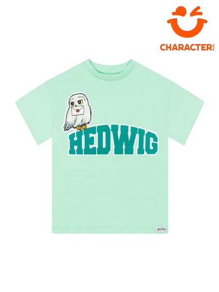 Character Harry Potter Hedwig Boxy T-Shirt (V30603) | ‏93 د.إ.‏