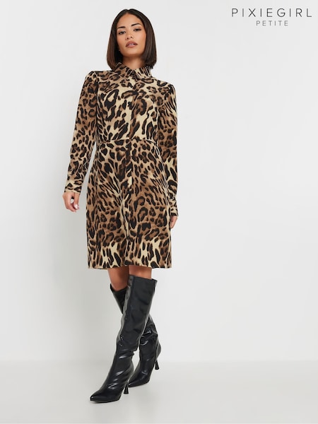 PixieGirl Petite Brown Leopard Print Shirt Dress (V40877) | 182 QAR