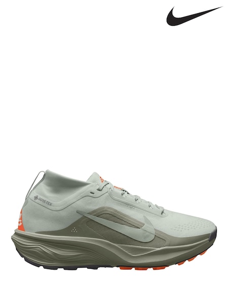 Light Silver - Regular Nike Acg Pegasus Trail Gore-tex Running Trainers