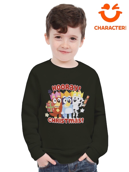 Character Green Bluey Christmas Sweatshirt (V46298) | 129 QAR