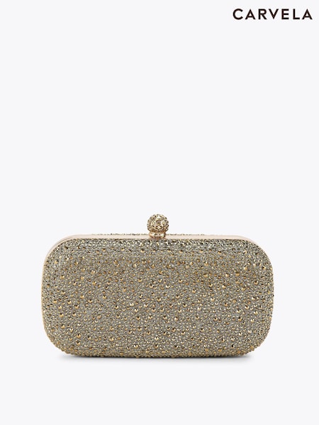 Carvela Brown Cecilia Hard Clutch Bag (V46811) | R$ 1.175