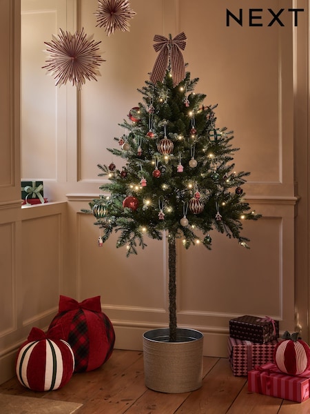 Nordmann Fir Pre Lit Christmas Tree