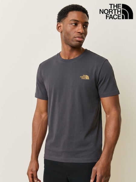 Grey - Regular The North Face Stone Relaxed Back Graphic T-shirt
