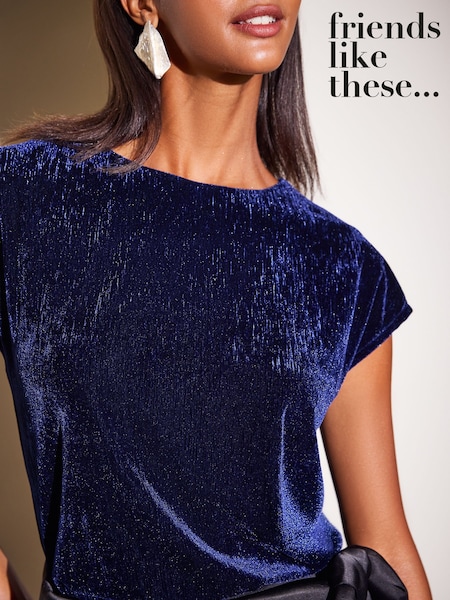 Navy - Friends Like These Velvet Short Sleeve Top