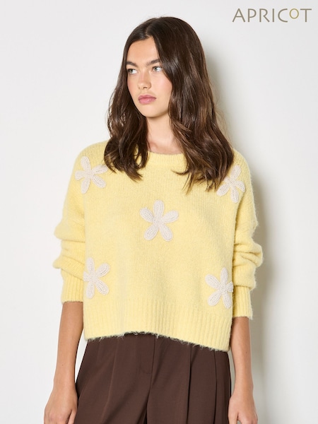 Apricot Daisy Appliqué Chunky Knit Jumper (V57569) | ¥ 9,140