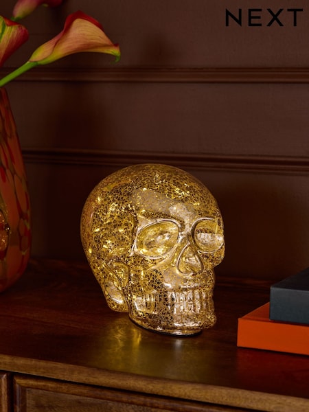 Skull Battery Operated Feature Light