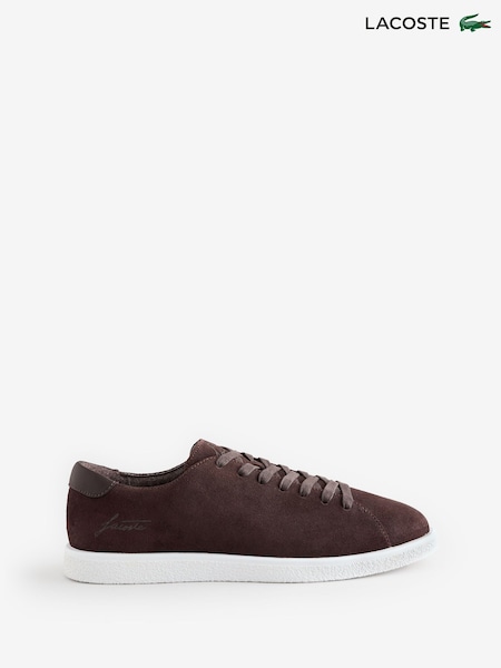Braun - Regular Lacoste Linecourt Trainers