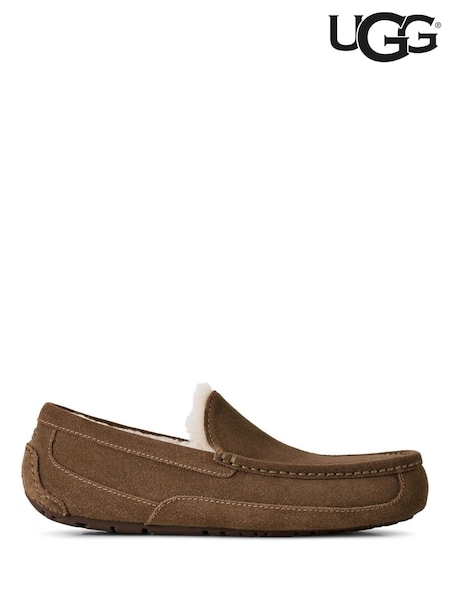 Brown - Regular Ugg Ascot Slipper