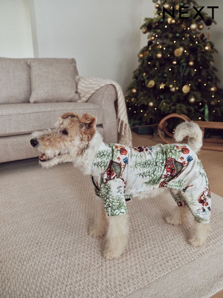 Ecru Santa - Matching Family Christmas Pet Pyjamas