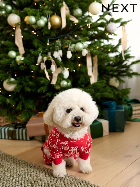 Red Jolly Vibes - Matching Family Christmas Pet Pyjamas