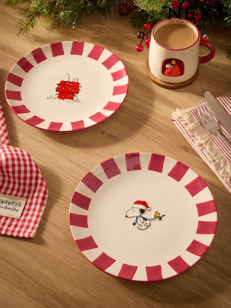 Set Of 2 Snoopy Hand Painted Christmas Side Plates
