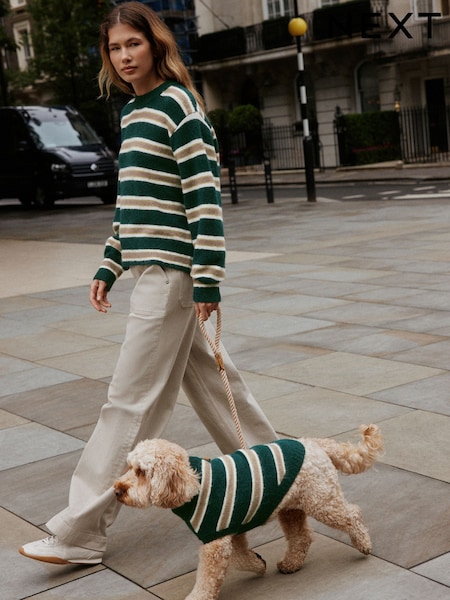 Green Stripe - Knitted Pet Jumper