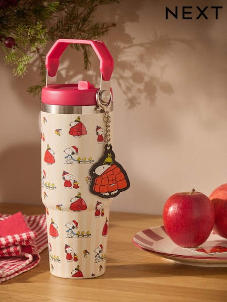 900ml Christmas Snoopy Stainless Steel Water Bottle