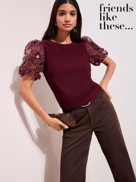 Friends Like These Burgundy Rose Detail Puff Sleeve Top (W15602) | $81
