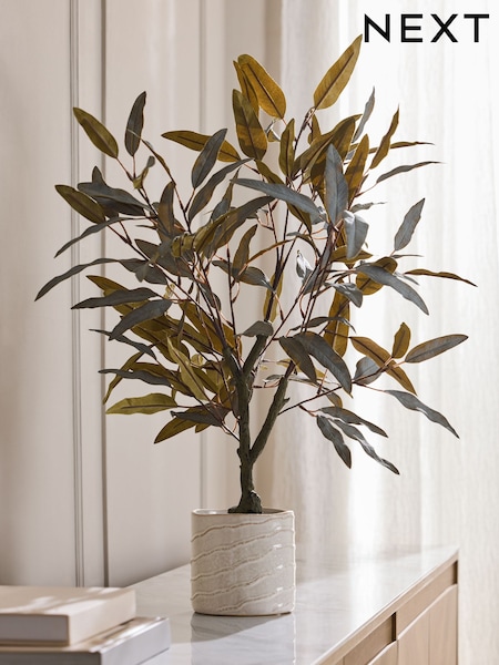 Árbol de eucalipto artificial en maceta de cerámica.