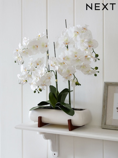 Artificial Orchid In Trough Style Planter