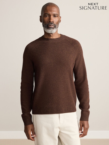 Brown Plain Regular Fit Signature 100% Merino Wool Crew Jumper (W22443) | €52