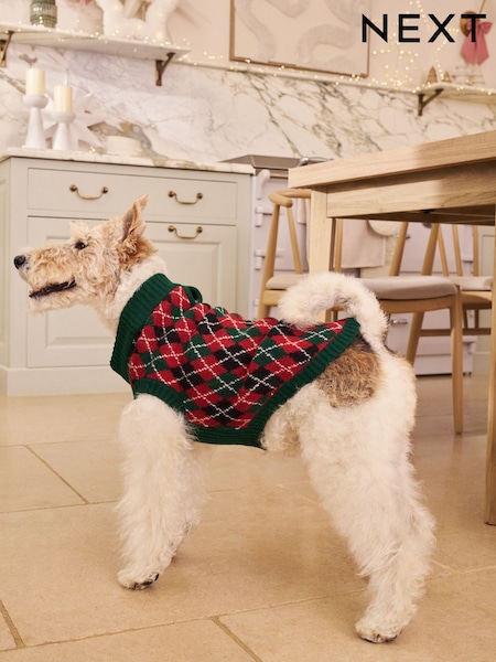 Green/Red Argyle Knitted Dog Jumper With Wool (W22603) | AED67 - AED101