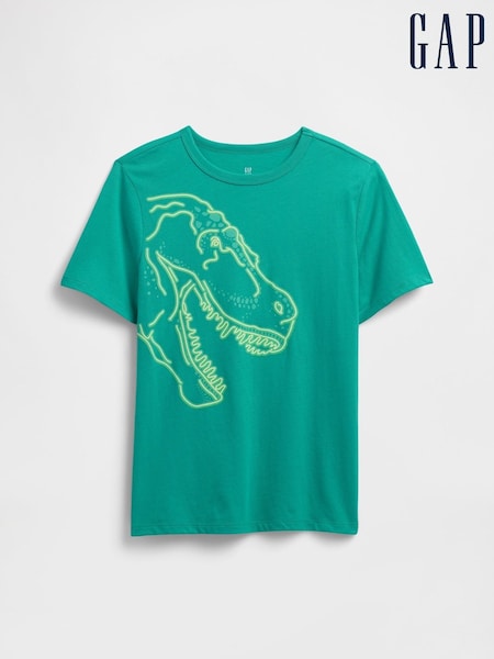 Gap Green Vintage Graphic T-Shirt (4-13yrs) (W28366) | €11.50
