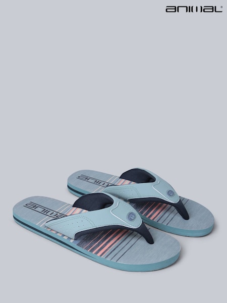 Animal Grey Mens Jekyl Flip Flops (W33820) | R$ 285