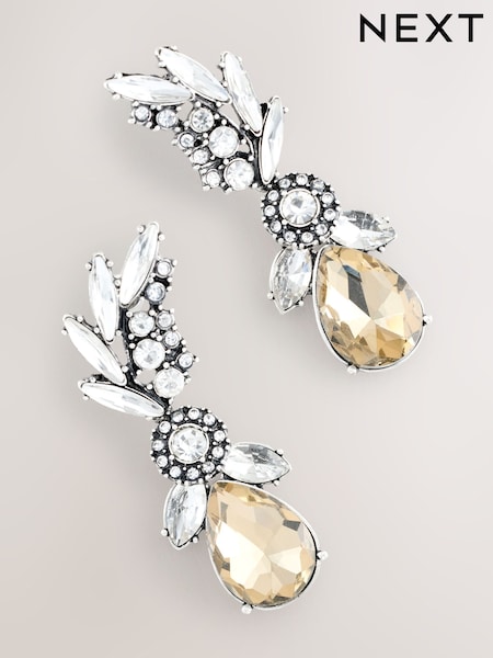 Silver Tone Jewel Drop Earrings (W52477) | €13