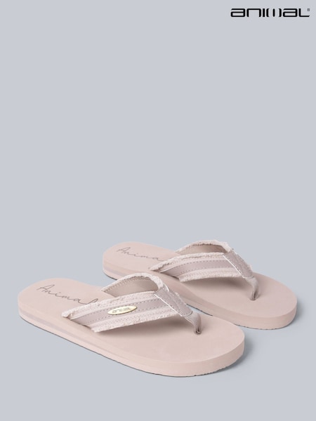 Animal Womens Tidal Flip Flops (W53107) | 54 €