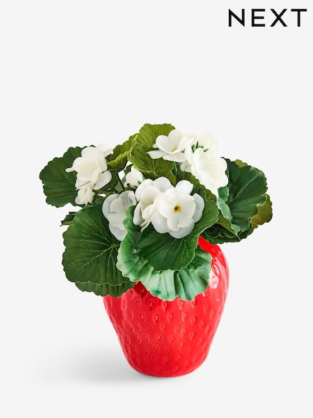 White/Green Artificial Plant in Red Ceramic Strawberry Pot (W55012) | AED120