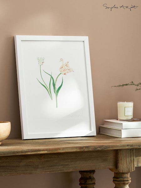 Sophie Allport Off White Tulips Print Artwork (W55565) | R$ 545