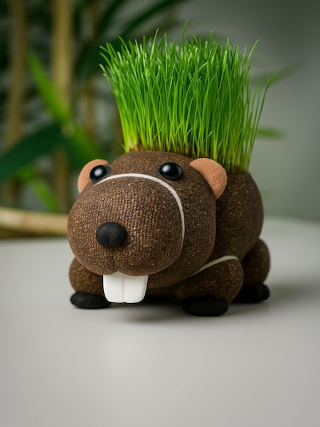 Diabolical Grow your own Hairy Beaver (W61319) | €10.50
