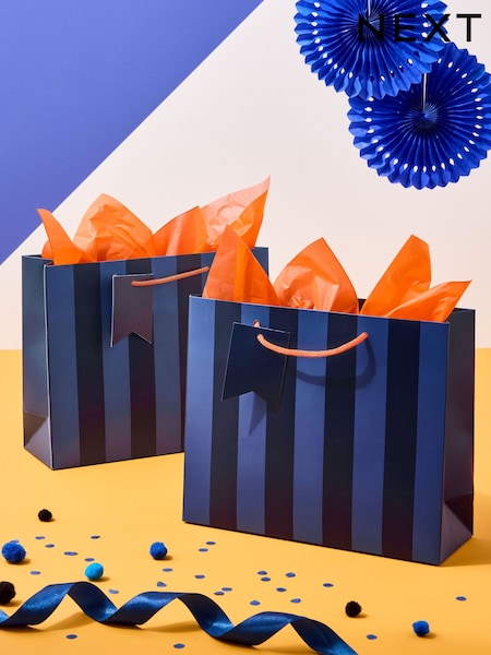 Set of 2 Blue Chunky Striped Medium Gift Bags (W65521) | AED23