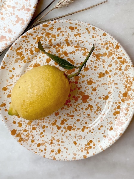 Hot Pottery Set of 4 Burnt Orange Splatter Side Plates (W65641) | R$ 710