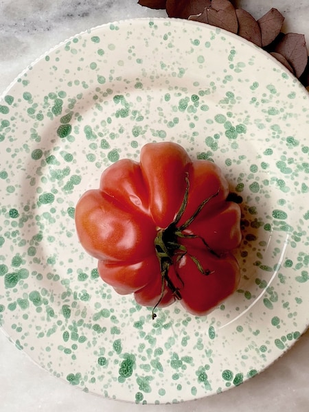 Hot Pottery Set of 4 Pistachio Splatter Dinner Plates (W65651) | SGD 194