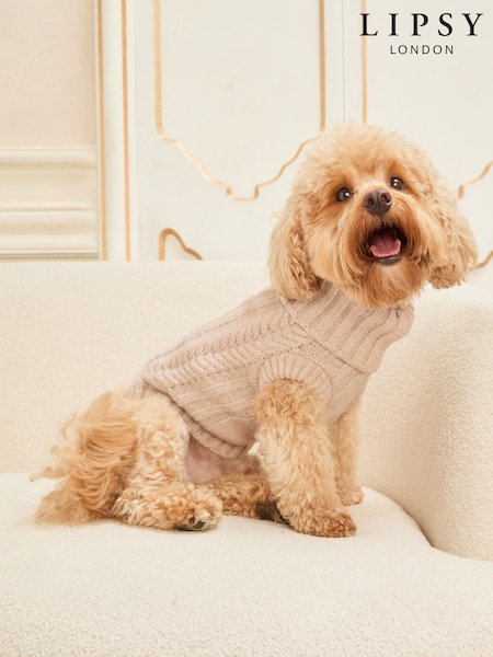 Lipsy Cream Shimmer Ribbed Dog Jumper (W68611) | €22