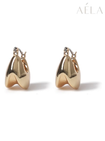 Aela Gold Tone Thick Huggie Hoop Earrings (W74878) | €13