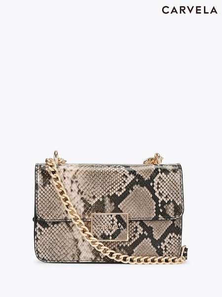 Carvela Jessica Shoulder Brown Bag (W78913) | €91