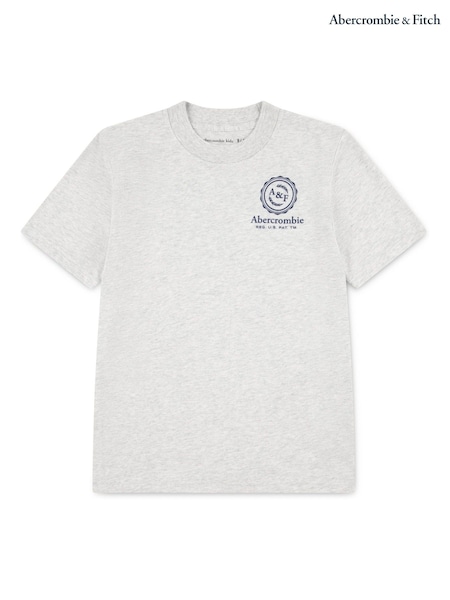 Abercrombie & Fitch Grey Long Sleeve Logo T-Shirt With Back Graphic (W83759) | €24