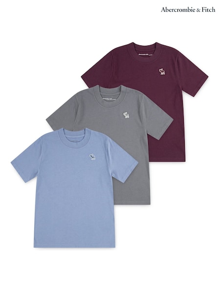 Abercrombie & Fitch Blue Short Sleeve T-Shirts 3 Pack (W83776) | AED204