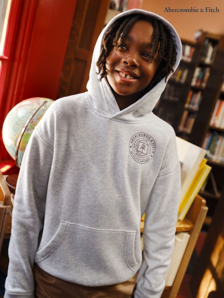 Abercrombie & Fitch Grey Logo Hoodie With Back Graphic Print (W83781) | €51