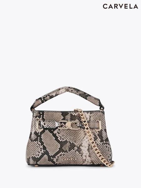 Коричневий - Carvela Mini Daniella Tote Bag (W90261) | 7 150 грн