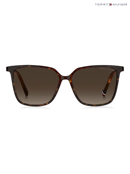 Tommy Hilfiger Brown Cat Eye Sunglasses in Havana (W93389) | R$ 1.285