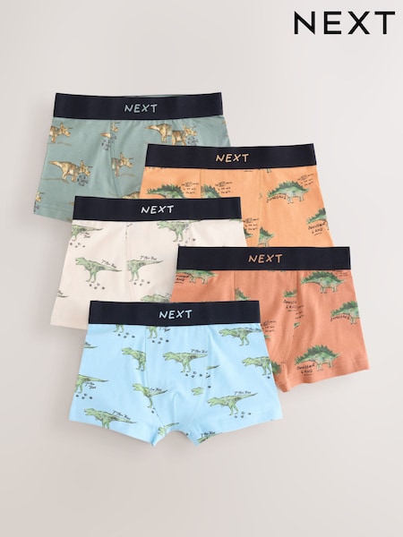 Imprimé de dinosaure vert/bleu - Lot de 5 malles à taille souple (1.5-16ans)