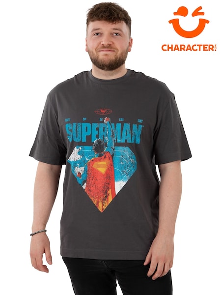 Character Grey Mens DC Comics Superman Logo T-Shirt (W98818) | €25