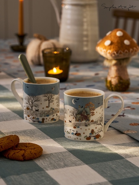Sophie Allport Soft Teal Paws & Pumpkins Standard (W99186) | €23