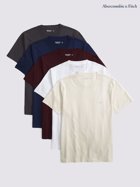 Abercrombie & Fitch 5 Pack Icon Short Sleeve T-Shirts (Y14998) | 113 €