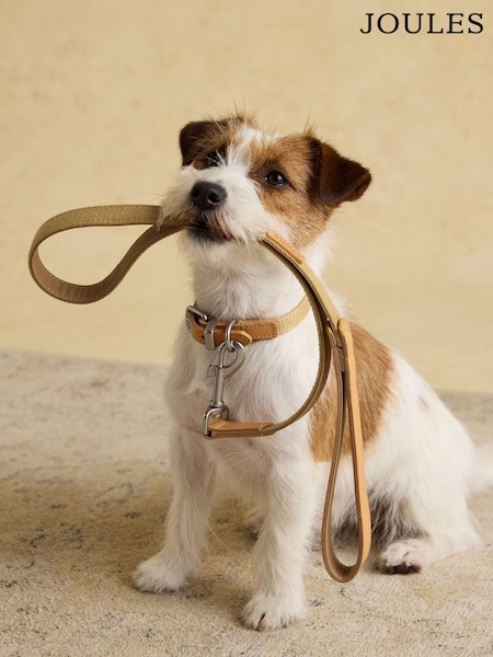Joules Tan Brown Pet Lead (Y16821) | €29