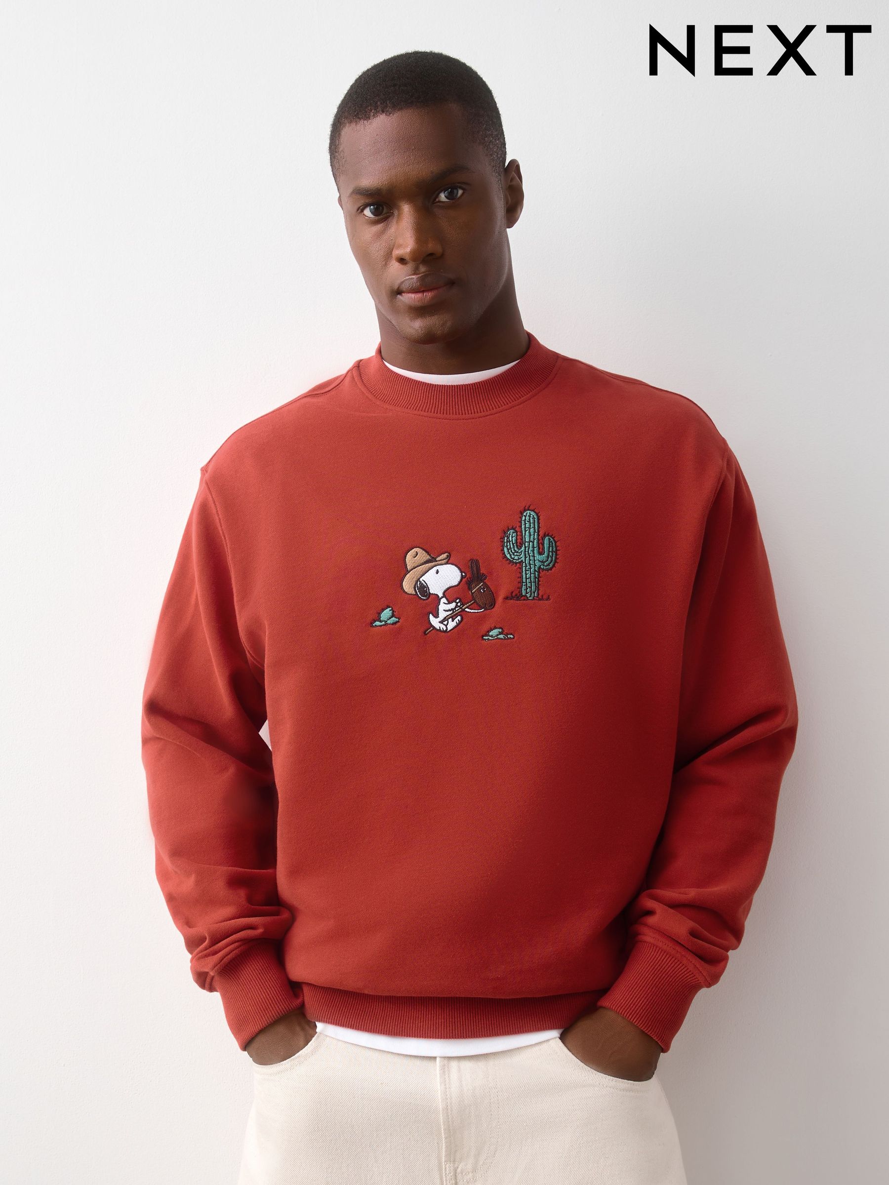 Men's Sweatshirts & Hoodies | Next Romania