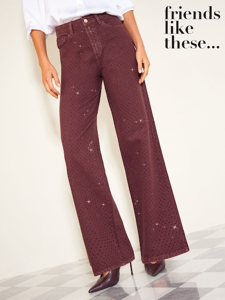 Rouge Bourgogne - Friends Like These Premium Embellished Everyday Wide Leg Denim Jeans
